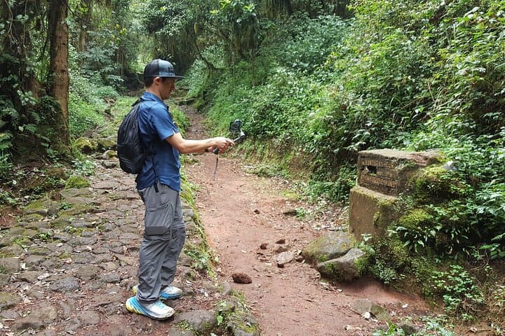 7-Day Kilimanjaro Machame Route: Summit Uhuru Peak via the Scenic South Circuit photo 5