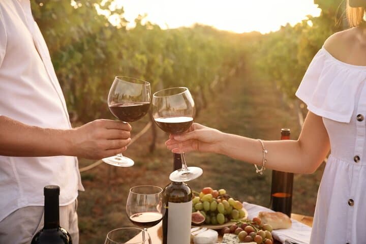 Santillana Uncorked: Private Wine-Tasting at Miradorio Bodega photo 5