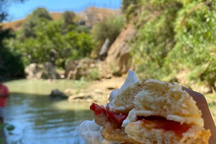 Segesta Temple & Natural Thermal Baths Half-Day Tour — Harvests, Hot Springs, and Sicilian Flavors photo 4