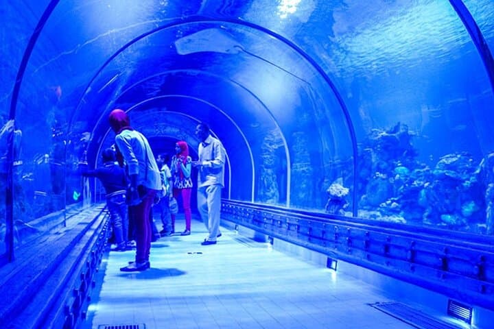 Hurghada Grand Aquarium Skip-the-Line Tickets — Red Sea Marine Life Experience photo 4