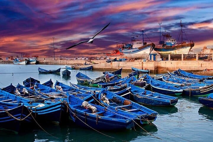 Essaouira Day Trip from Marrakech: Atlantic Ramparts, Beach & Medina