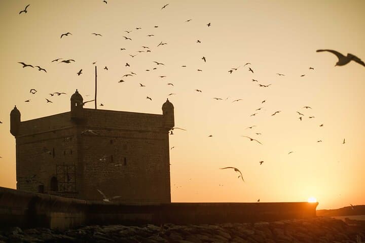Essaouira Day Trip from Marrakech: Atlantic Ramparts, Beach & Medina photo 3