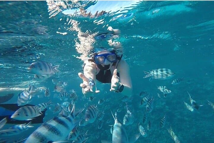 Dolphin House Snorkeling Adventure: Full-Day Red Sea Trip from Hurghada photo 2
