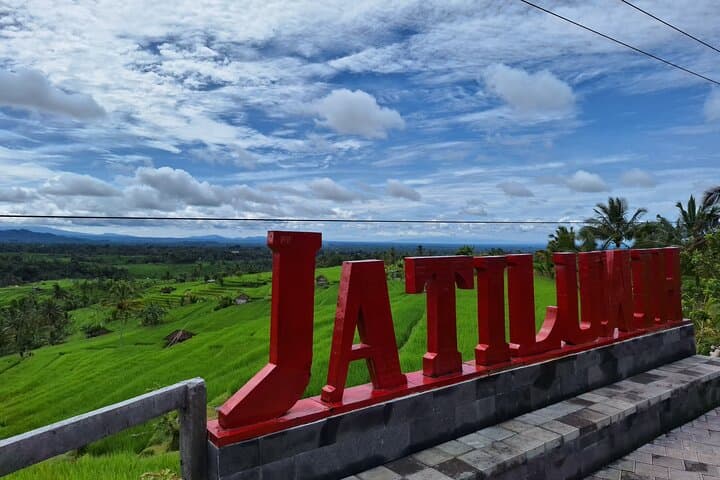 Bali Splendor Private Tour — Waterfalls, Ulun Danu Temple & Jatiluwih Rice Fields photo 5