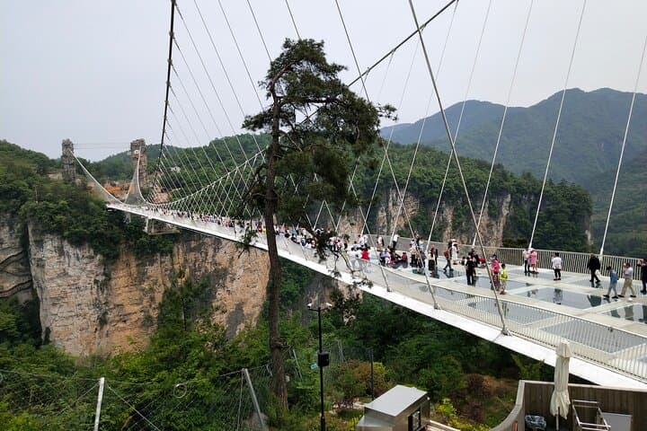 Zhangjiajie Glass Bridge, Baofeng Lake & Grand Canyon — Full-Day Adventure