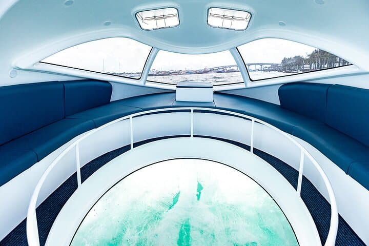 Glass-Bottom Hydrofoil Tour in Nassau — Semi-Submersive Bahamas Boat Experience photo 1
