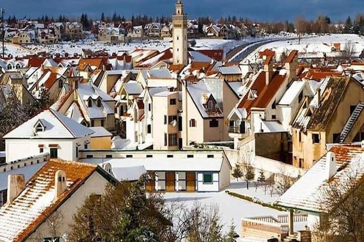 Day Trip from Fes to the Middle Atlas: Ifrane, Azrou & Immouzer photo 3