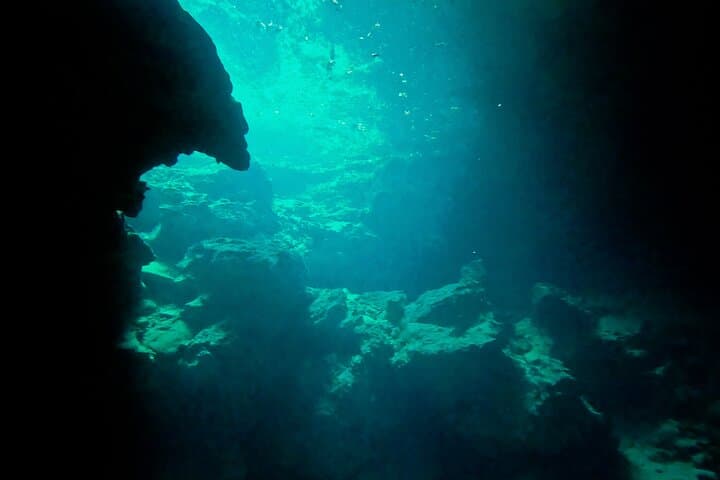 Swim Four Cenotes at Casa Tortuga Park — Guided Cenote Tour Near Tulum photo 6