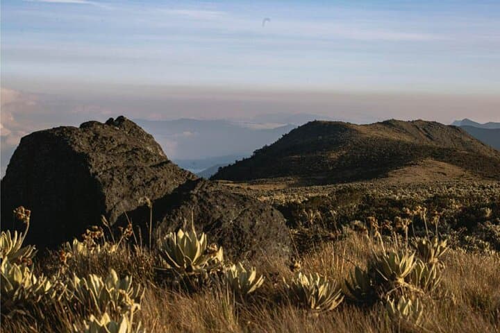 Day of Wellness at Neusa Reservoir: Yoga, Massage & Lunch from Bogotá photo 2