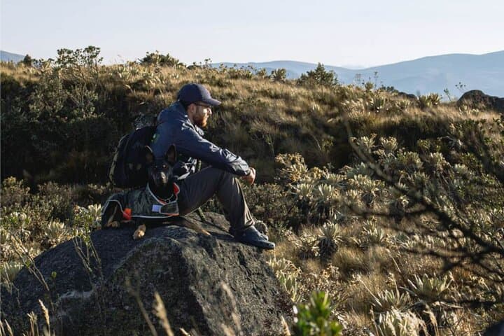 Day of Wellness at Neusa Reservoir: Yoga, Massage & Lunch from Bogotá photo 4