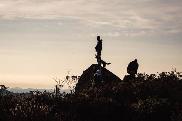 Day of Wellness at Neusa Reservoir: Yoga, Massage & Lunch from Bogotá photo 5