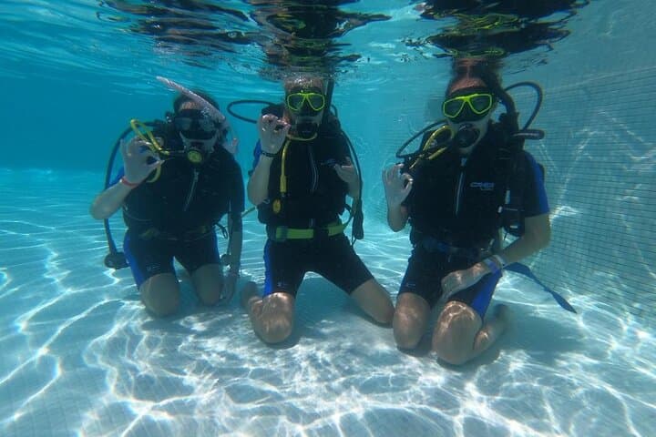 Punta Cana 3-Day PADI Open Water Course: Learn to Dive the Caribbean Reefs photo 2