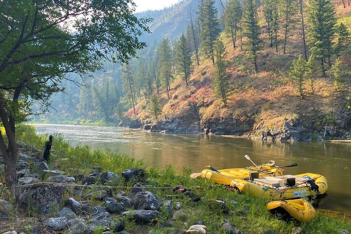 Full-Day Salmon River Whitewater Rafting: Class II-III Adventure in Idaho photo 5