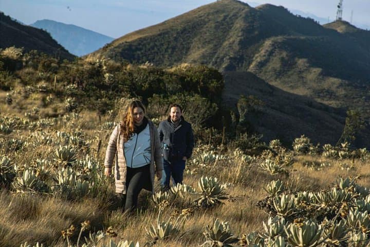 Neusa Reservoir Half-Day Hike from Bogotá: Lakeside Trails & Andean Views photo 4