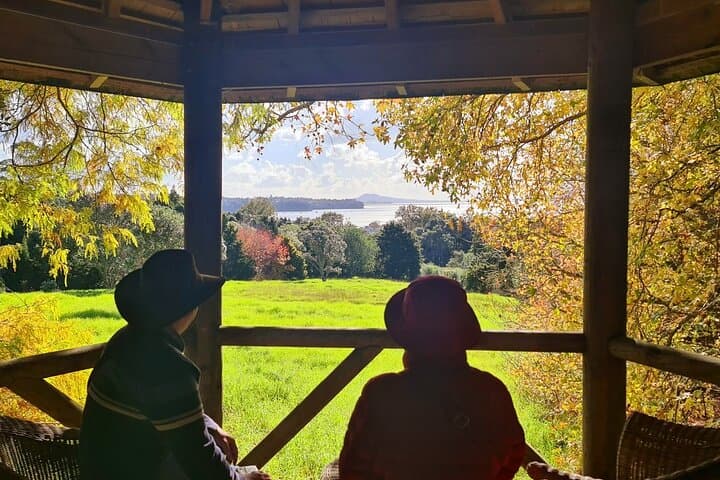 Auckland Nature Tour: Maungawhau, Cornwall Park & Ayrlies Garden Day Trip photo 5