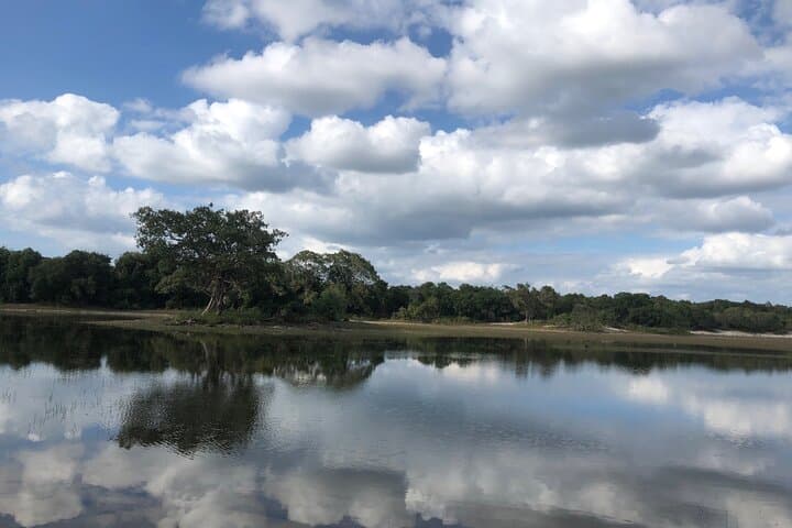 Wilpattu Safari from Negombo: Leopards, Willus & Wild Plains photo 4