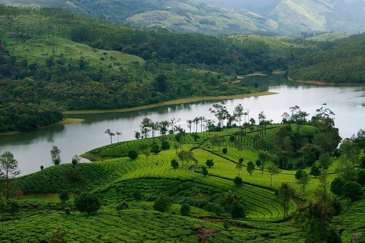 Kerala in Three Nights: Munnar Tea Hills & Alleppey Houseboat Private Package