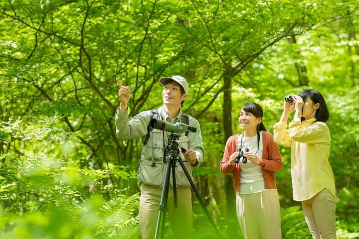 Karuizawa Wild Bird Sanctuary Guided Forest Walk — Nagano Birdwatching Tour photo 1