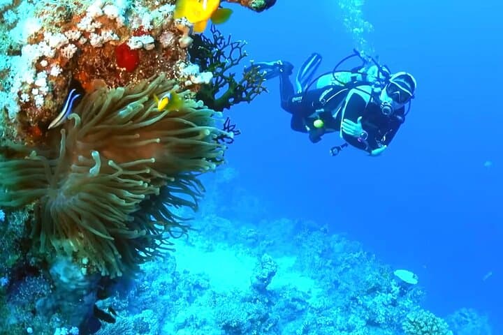 10-Day Luxury Egypt Tour: Pyramids, Nile Cruise & Red Sea Relaxation photo 3