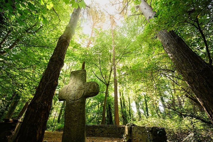 Courtown Woodland Guided Walk: Pagan Lore, Foraging & Ancient Trees in Wexford photo 4