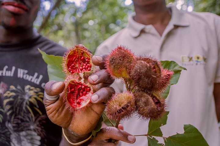 Zanzibar Spice Private Tour: Half-Day Spice Farm & Cultural Crafts Experience photo 1