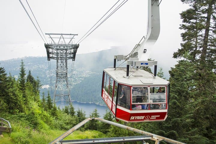 Grouse Mountain Express: Peak Chairlift, Wildlife Refuge & Mountain Activities photo 2