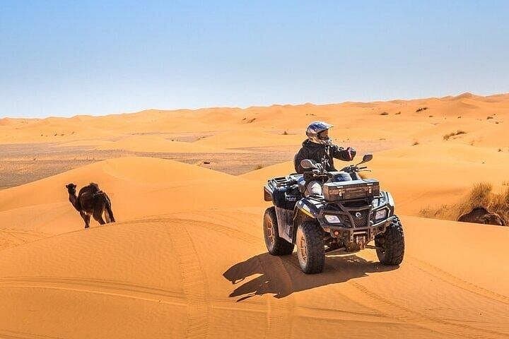 Dubai Red Dunes Evening Desert Safari: Quad Biking, Dune Bashing & Camp Show