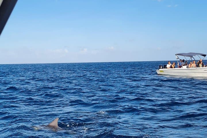 Snorkel with Dolphins and Lunch on Ile aux Beniers — Speedboat Adventure from Tamarin photo 2