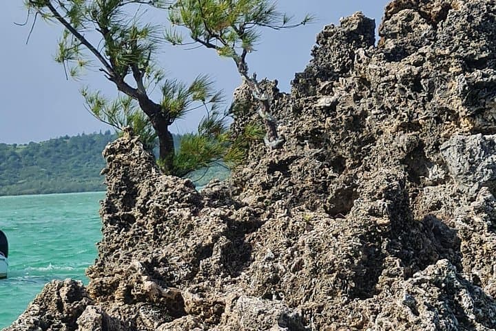 Snorkel with Dolphins and Lunch on Ile aux Beniers — Speedboat Adventure from Tamarin photo 4