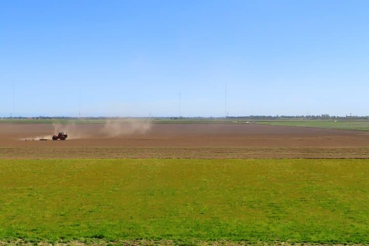 Driving the Delta’s Wine Country: Self-Guided Audio Tour from Sacramento photo 4