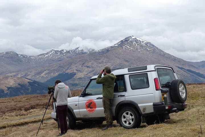 Land Rover Wildlife Safari in Loch Lomond & The Trossachs photo 1