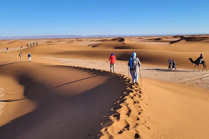 Dunes of M'Hamid: 10-Day Sahara Trek from Marrakech photo 2