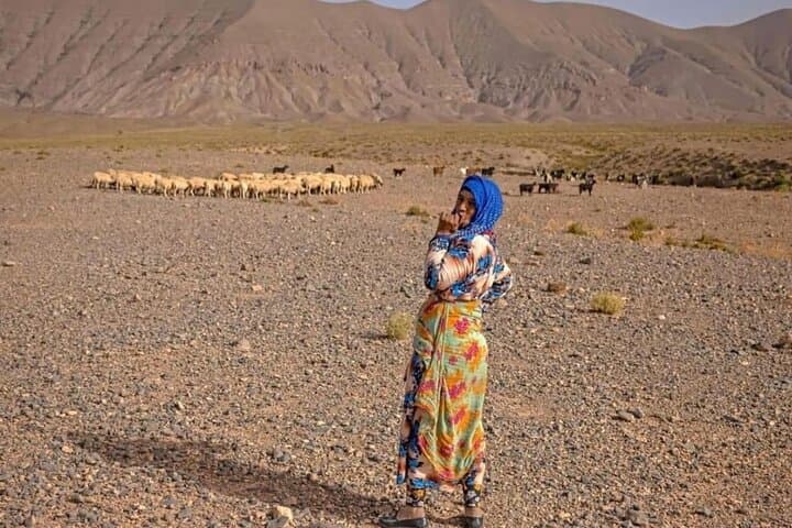 Dunes of M'Hamid: 10-Day Sahara Trek from Marrakech photo 4