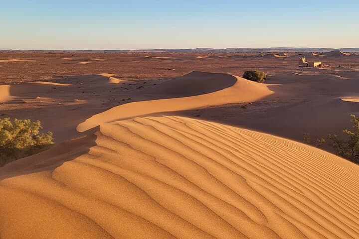 Dunes of M'Hamid: 10-Day Sahara Trek from Marrakech photo 5
