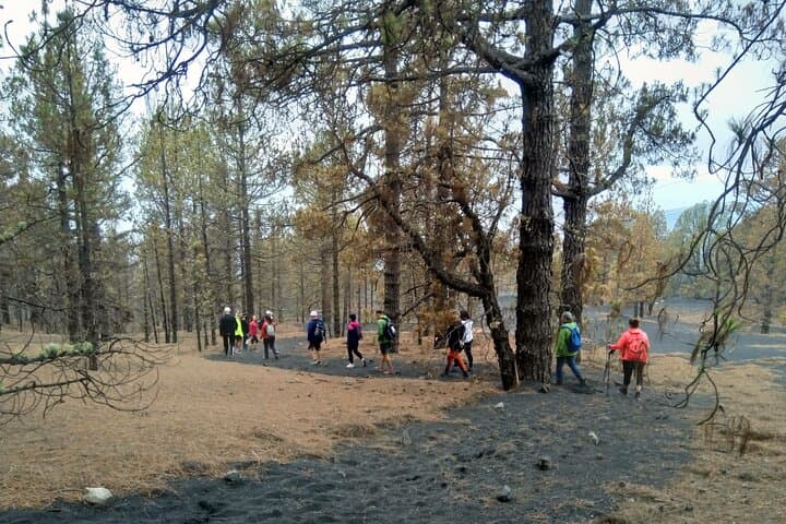 Hike Tajogaite Volcano: Full-Day Guided Volcano Tour from La Palma photo 2