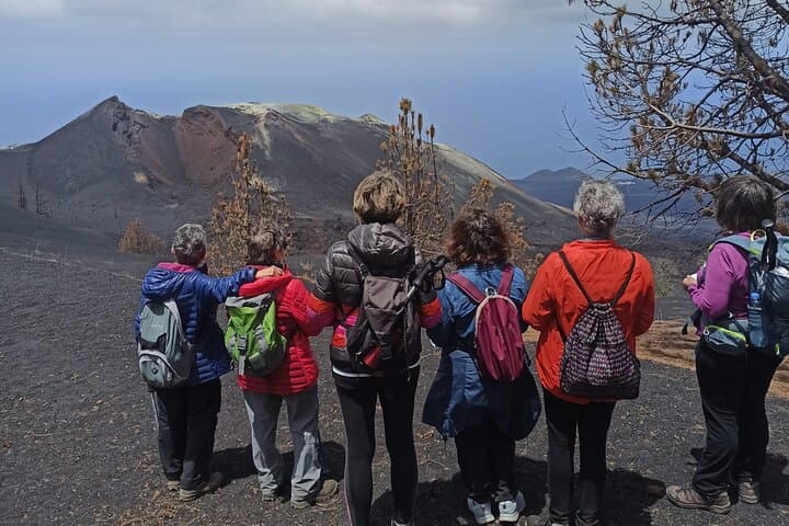 Hike Tajogaite Volcano: Full-Day Guided Volcano Tour from La Palma photo 3