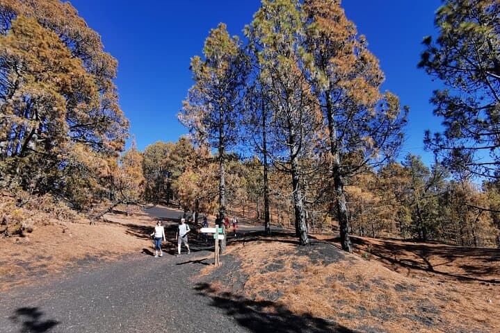 Hike Tajogaite Volcano: Full-Day Guided Volcano Tour from La Palma photo 5