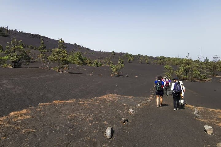 Hike Tajogaite Volcano: Full-Day Guided Volcano Tour from La Palma photo 6