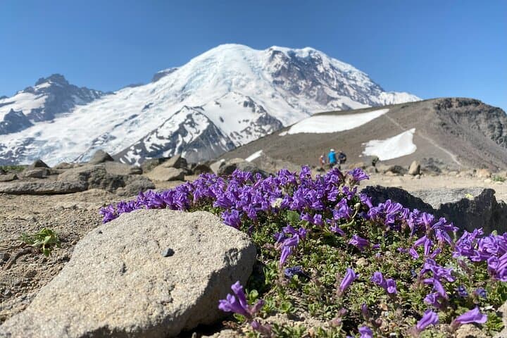 Sunrise to Burroughs: Mount Rainier 6-Mile Day Hike photo 3