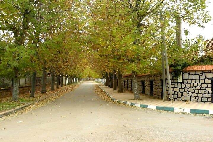 Day Trip from Fes to the Middle Atlas — Ifrane, Cedar Forest & Azrou photo 2