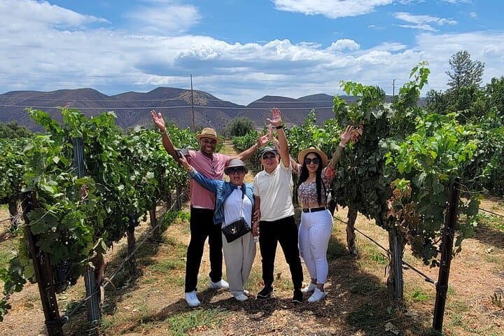 Sunday Special Wine Tour in Temecula Valley — Two Wineries & Lunch photo 5