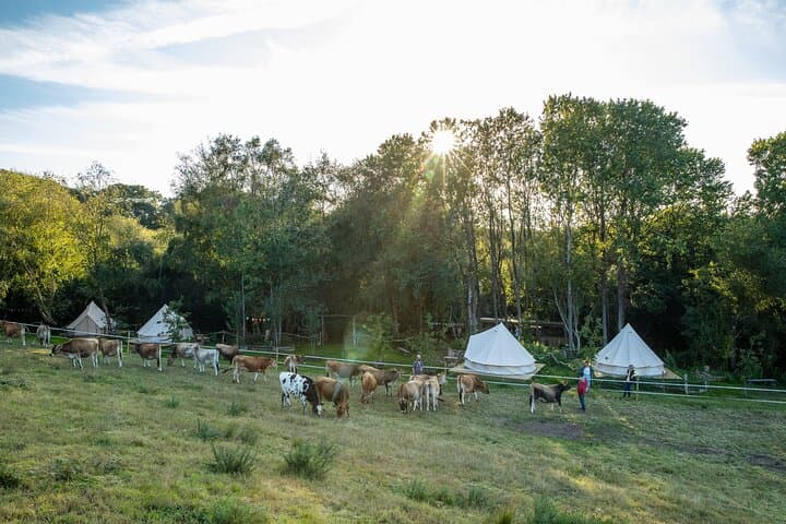 Surfing, Coasteering & Wild Camping Near Newquay — 3-Day Cornish Adventure