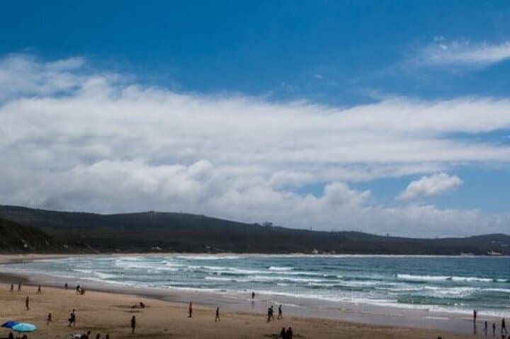 4-Day Garden Route Adventure from Cape Town — Safari, Hiking & Wine photo 3