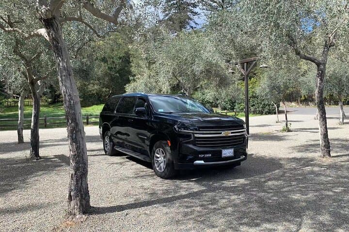 Private SF to Napa & Sonoma Wine Tour by Luxury SUV photo 5