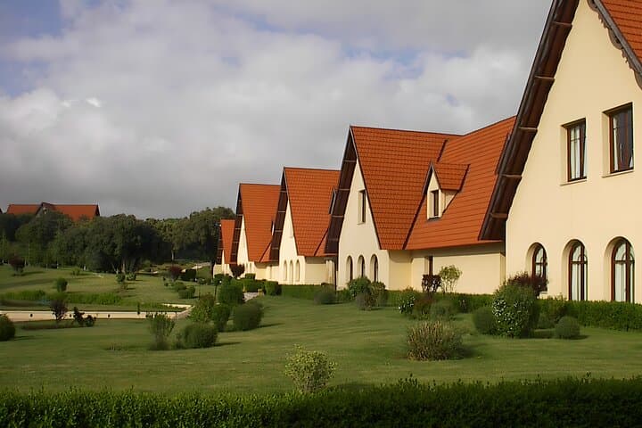 Day Trip from Fes to the Middle Atlas — Ifrane, Cedar Forest & Azrou photo 3