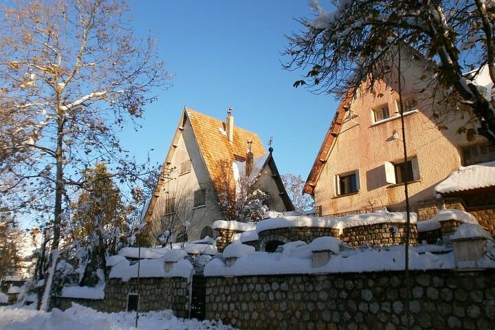 Day Trip from Fes to the Middle Atlas — Ifrane, Cedar Forest & Azrou photo 4