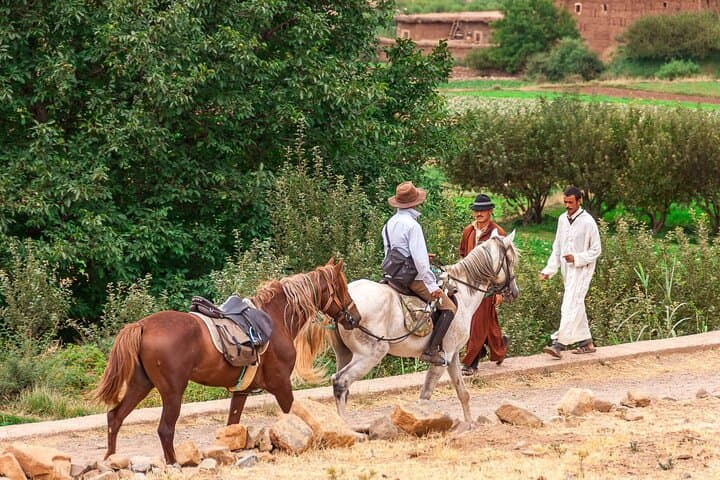 Atlas Mountains Horseback Ride from Marrakech — 45-Minute Guided Trail photo 4
