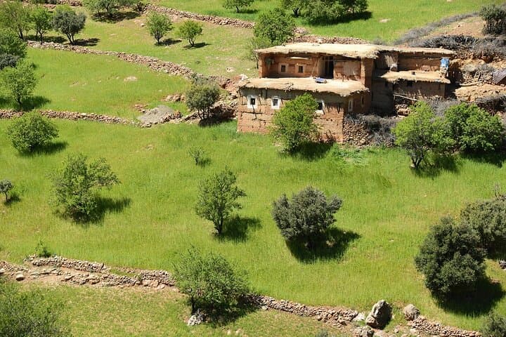 High Atlas Day Trip from Marrakech: Camel Ride, Berber Villages & Mountain Lunch