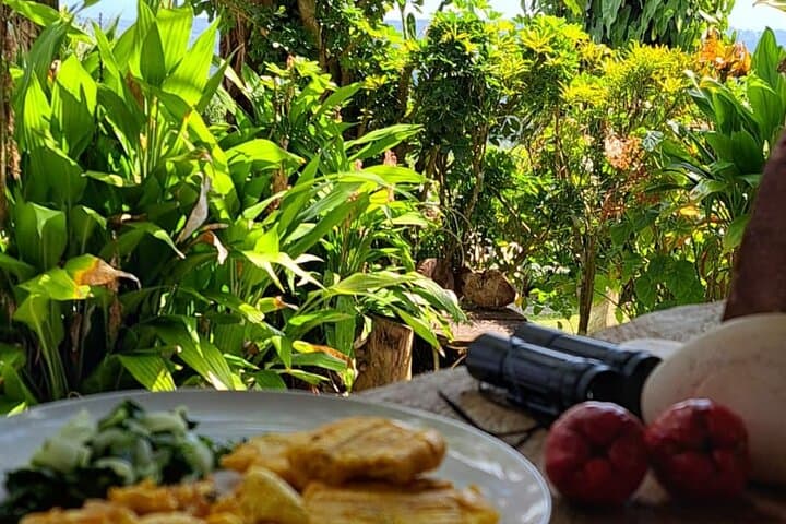 Off the Grid Sightseeing Tour: Blue Hole Swim & Rainforest Walk in Ocho Rios photo 6