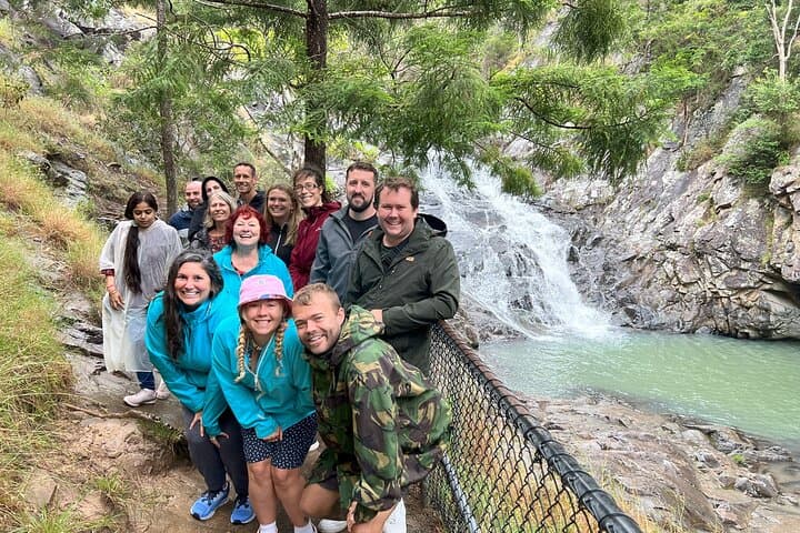 Scenic Rim Explorer: Mount Tamborine Glow Worms, Waterfalls & Gallery Walk photo 4